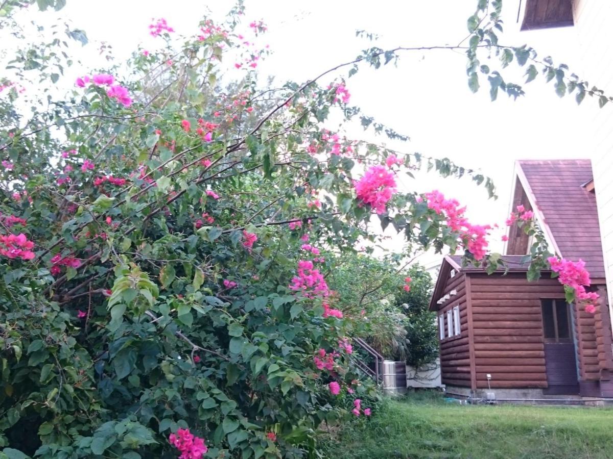 Garden Beach House Motobu Buitenkant foto